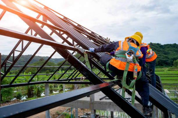 Roof Gutter Cleaning in Bear Creek, FL